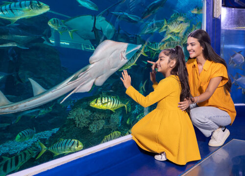 Dubai Aquarium & Underwater Zoo