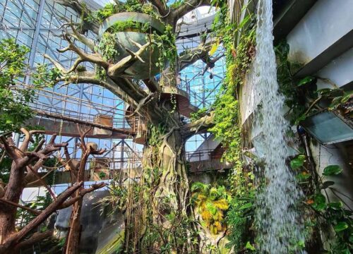 Green Planet