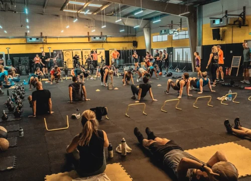 The Circuit Factory
