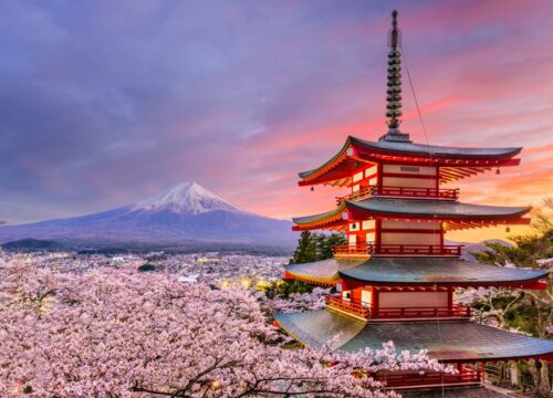 Join Our December School Trip to Japan!